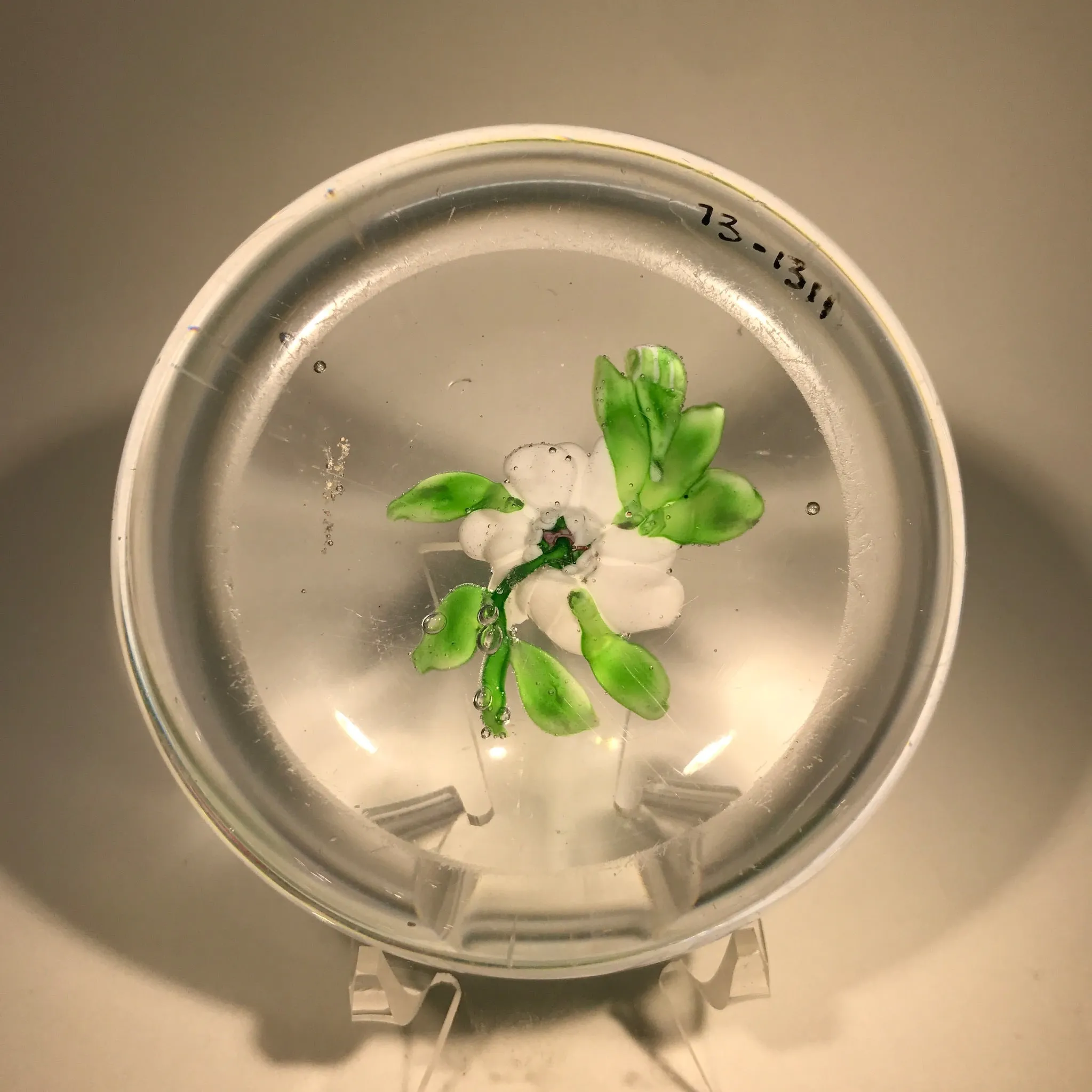 Rare Antique Clichy Art Glass Paperweight Lampwork White Camelia