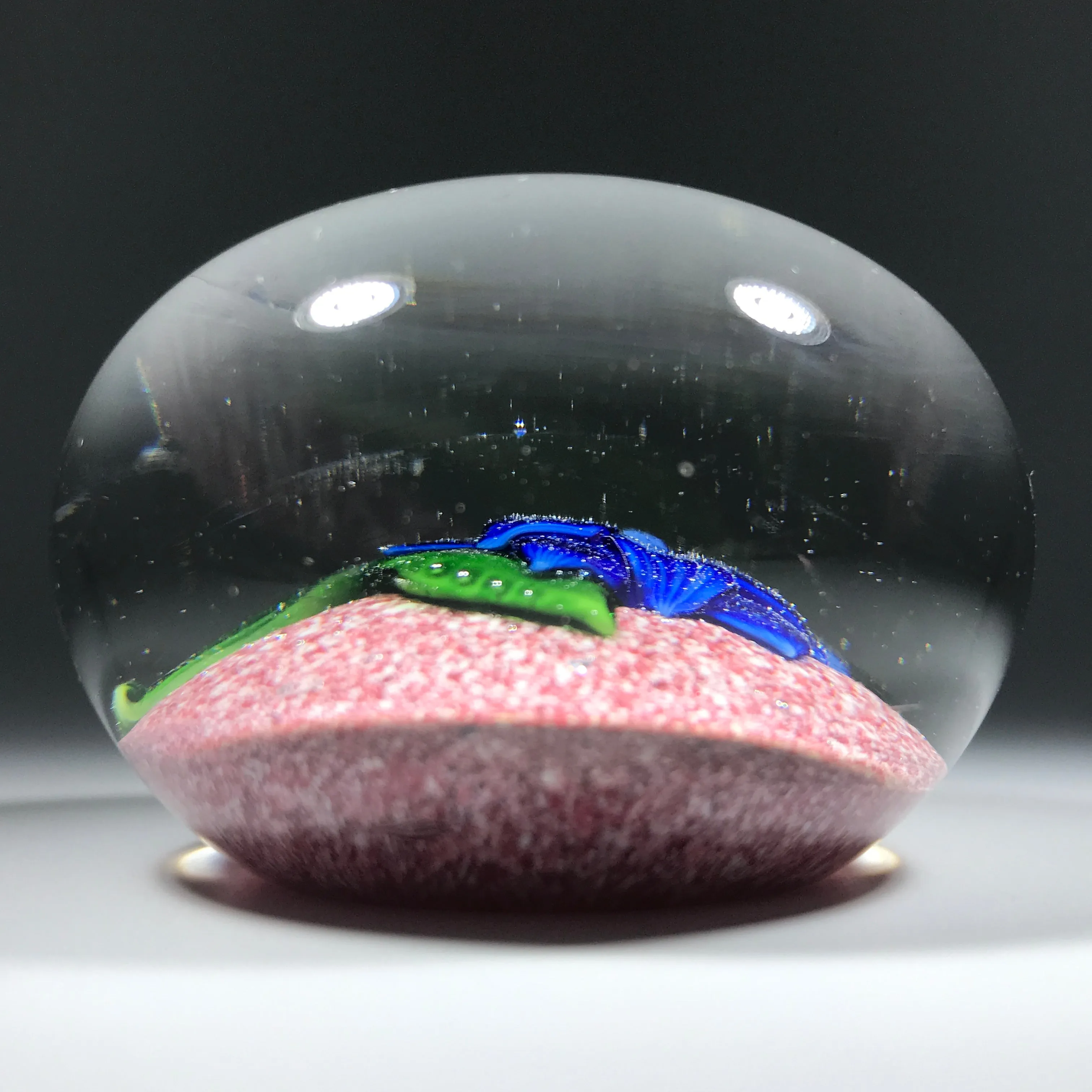 Rare Antique Saint Louis Art Glass Paperweight Lampwork Clematis on Red Jasper Ground