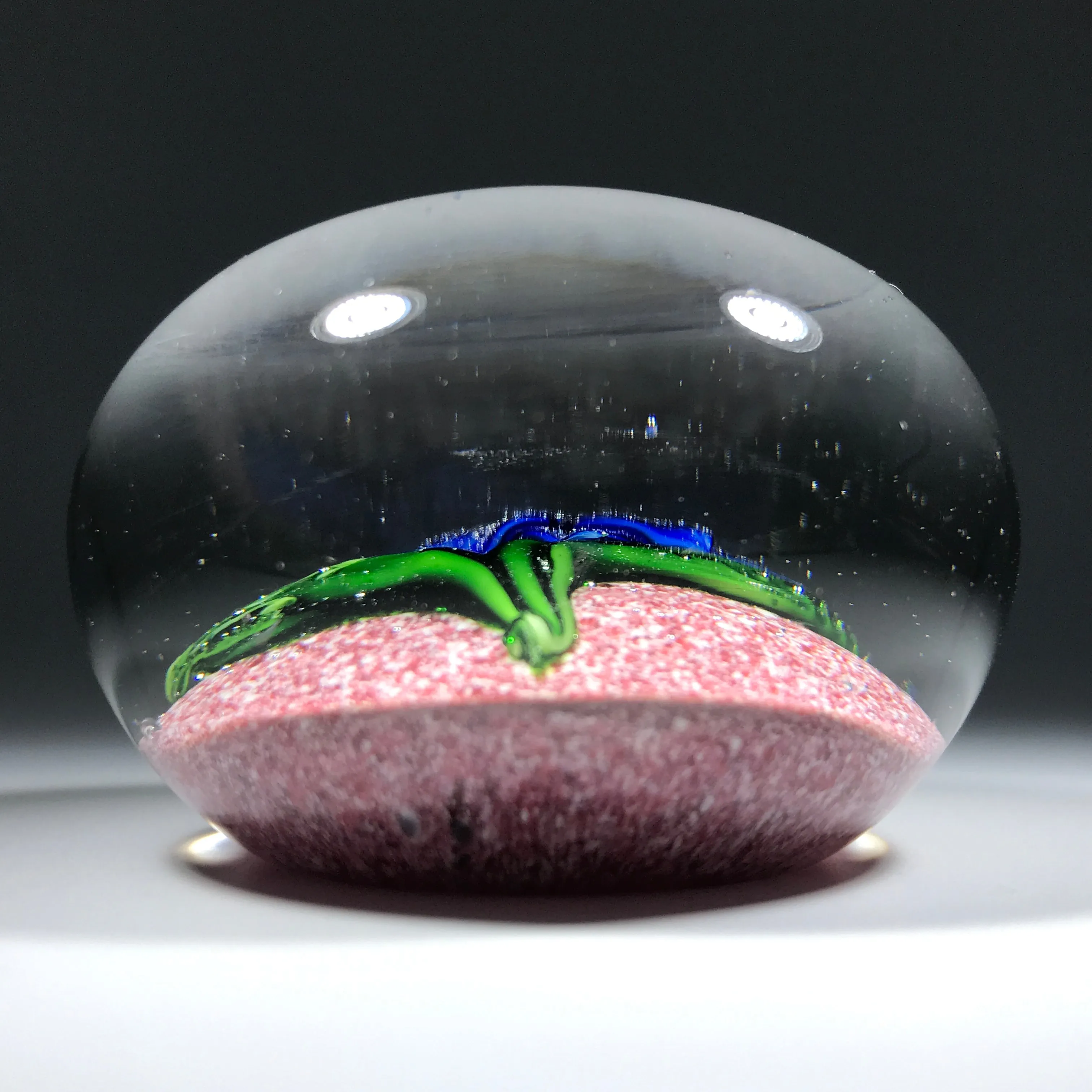 Rare Antique Saint Louis Art Glass Paperweight Lampwork Clematis on Red Jasper Ground