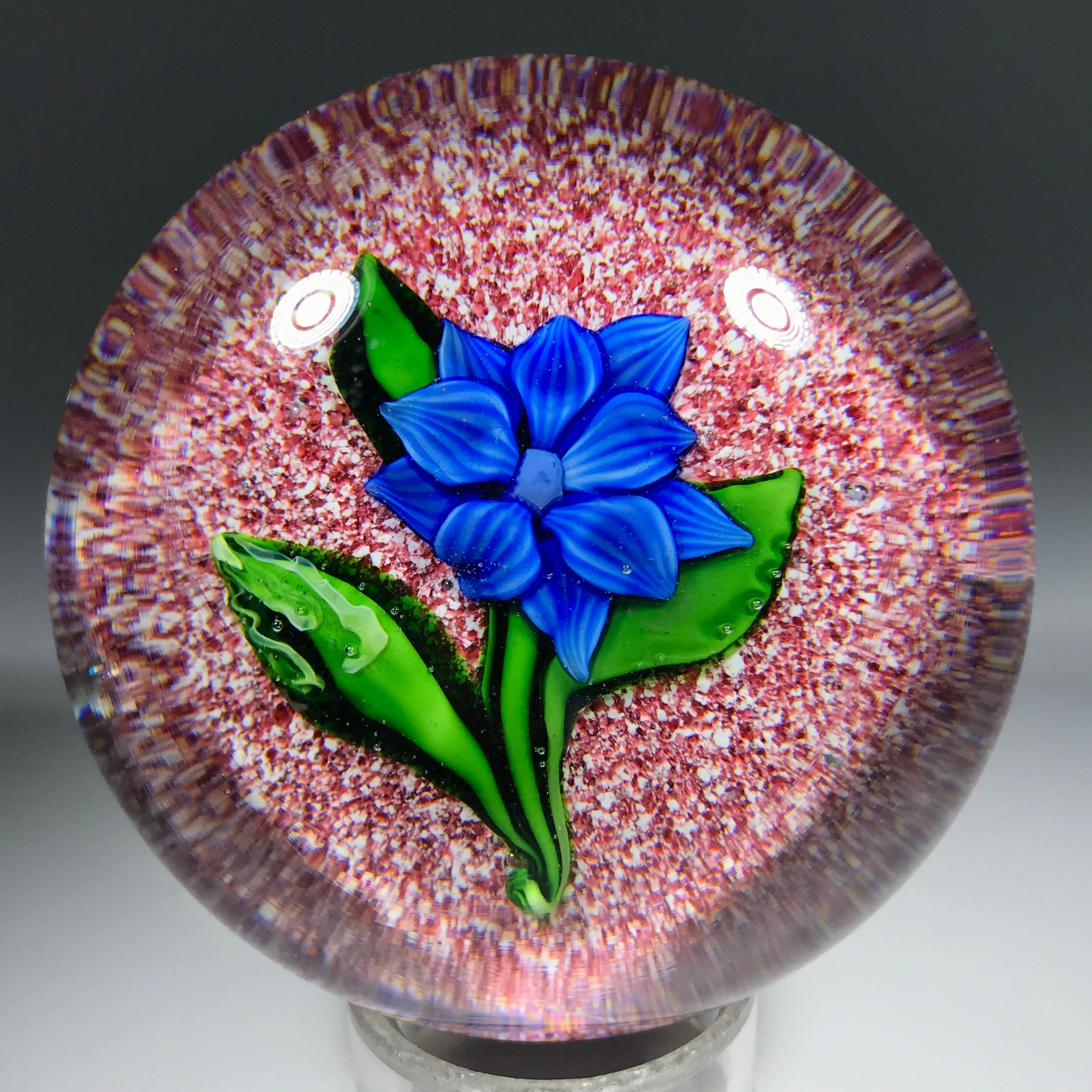 Rare Antique Saint Louis Art Glass Paperweight Lampwork Clematis on Red Jasper Ground