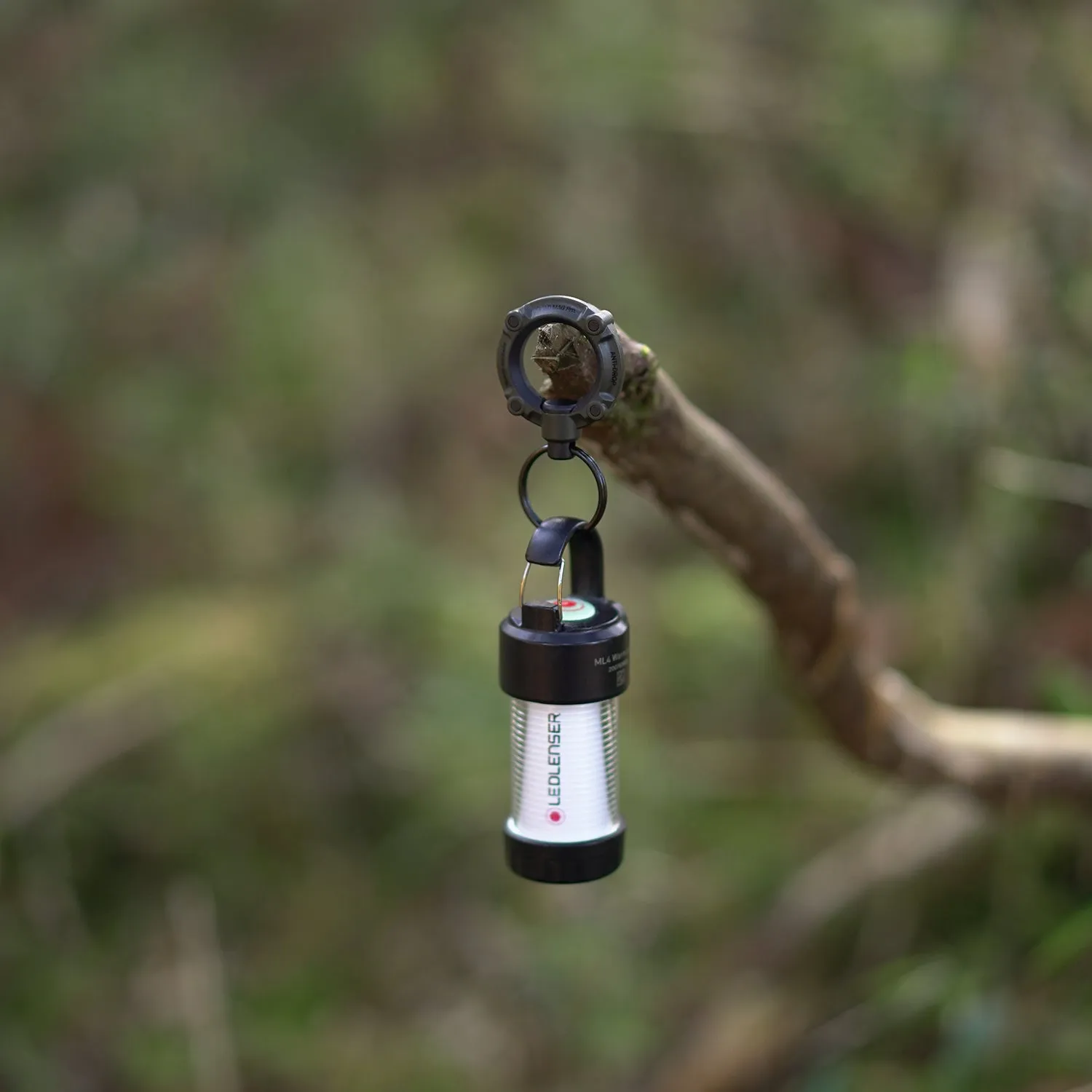 ROOT CO. | ルート　GRAVITY QUAD MAG Pro.