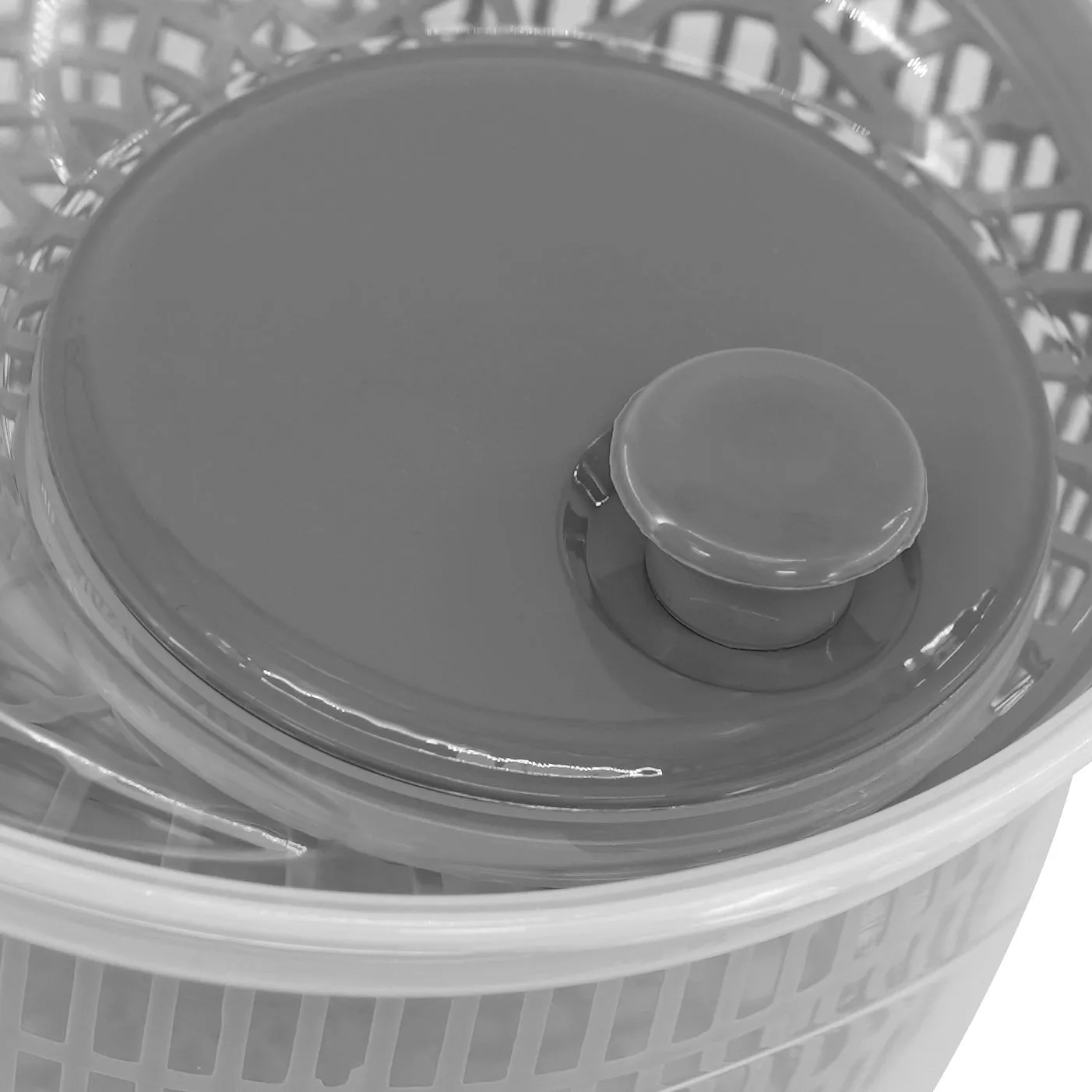 Salad Spinner in Assorted Colours