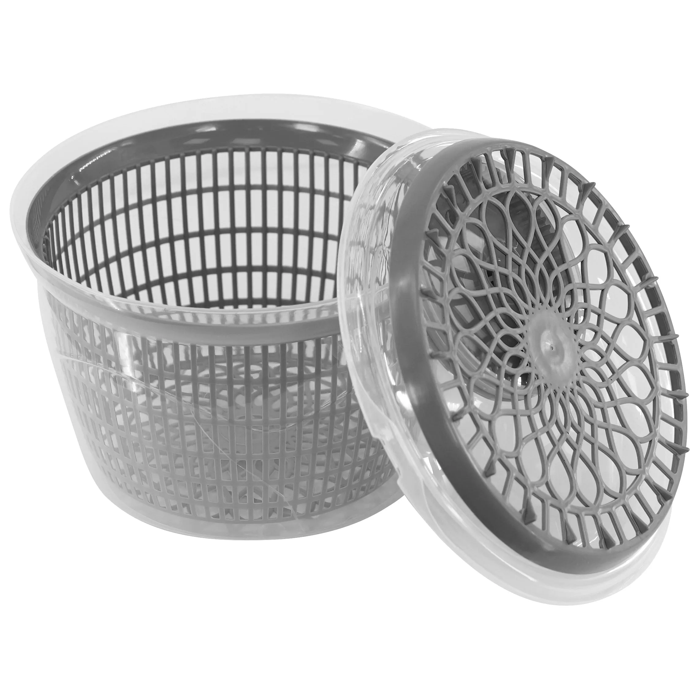 Salad Spinner in Assorted Colours