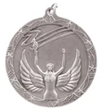 Shooting Star Medal - Large