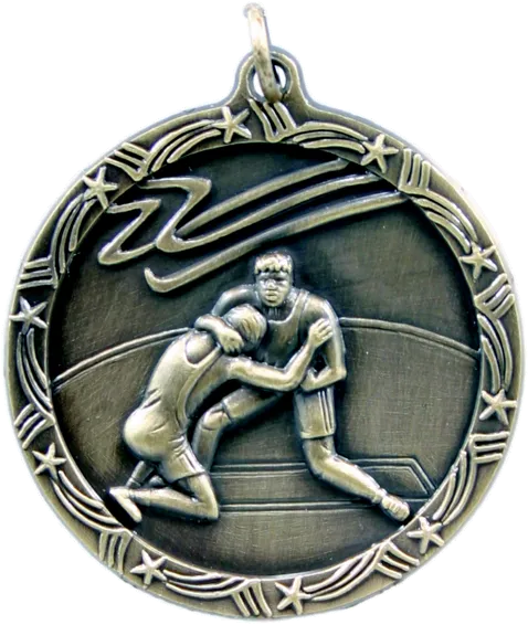 Shooting Star Medal - Large