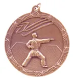 Shooting Star Medal - Large