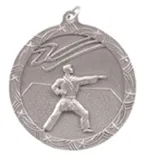 Shooting Star Medal - Large