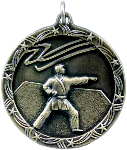 Shooting Star Medal - Large