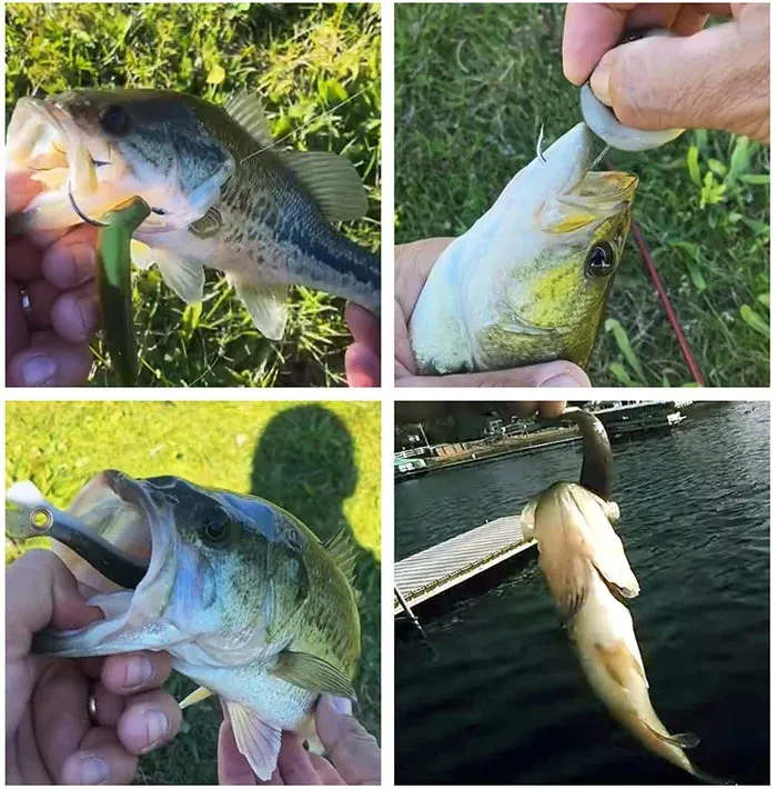 Soft Bionic Fishing Lures ( 5 Pcs Pack )
