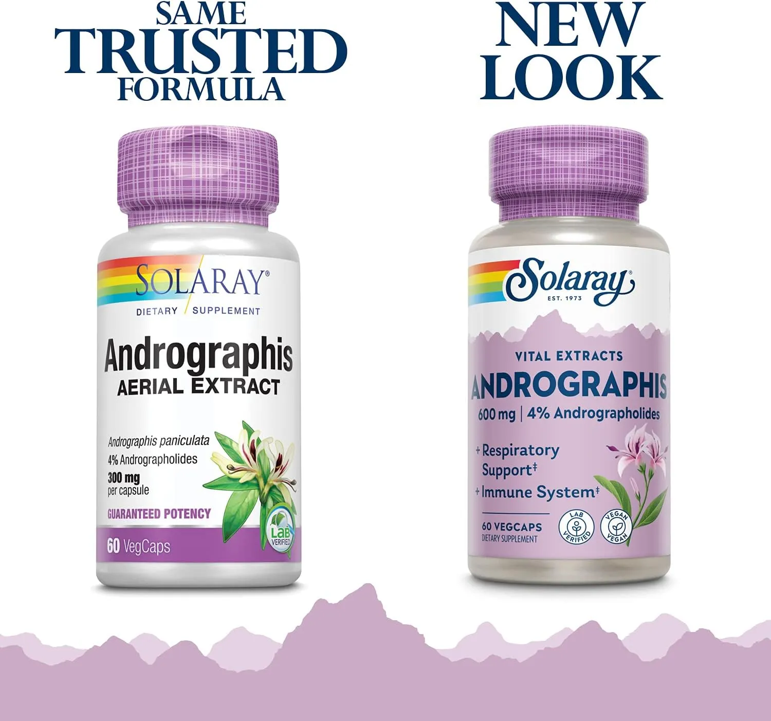 Solaray Andrographis Extract -- 300 Mg - 60 Capsules
