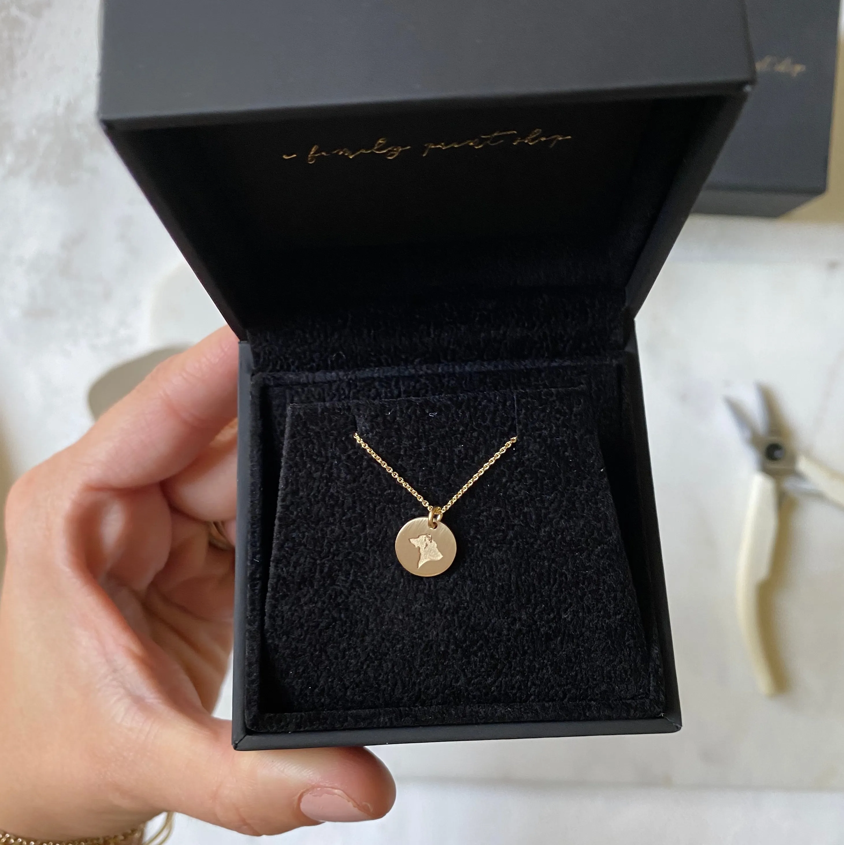 The 14k Elegant Solid Gold *Petite* Coin Necklace