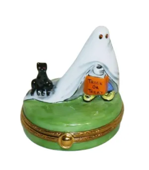 Trick Or Treater With Cat