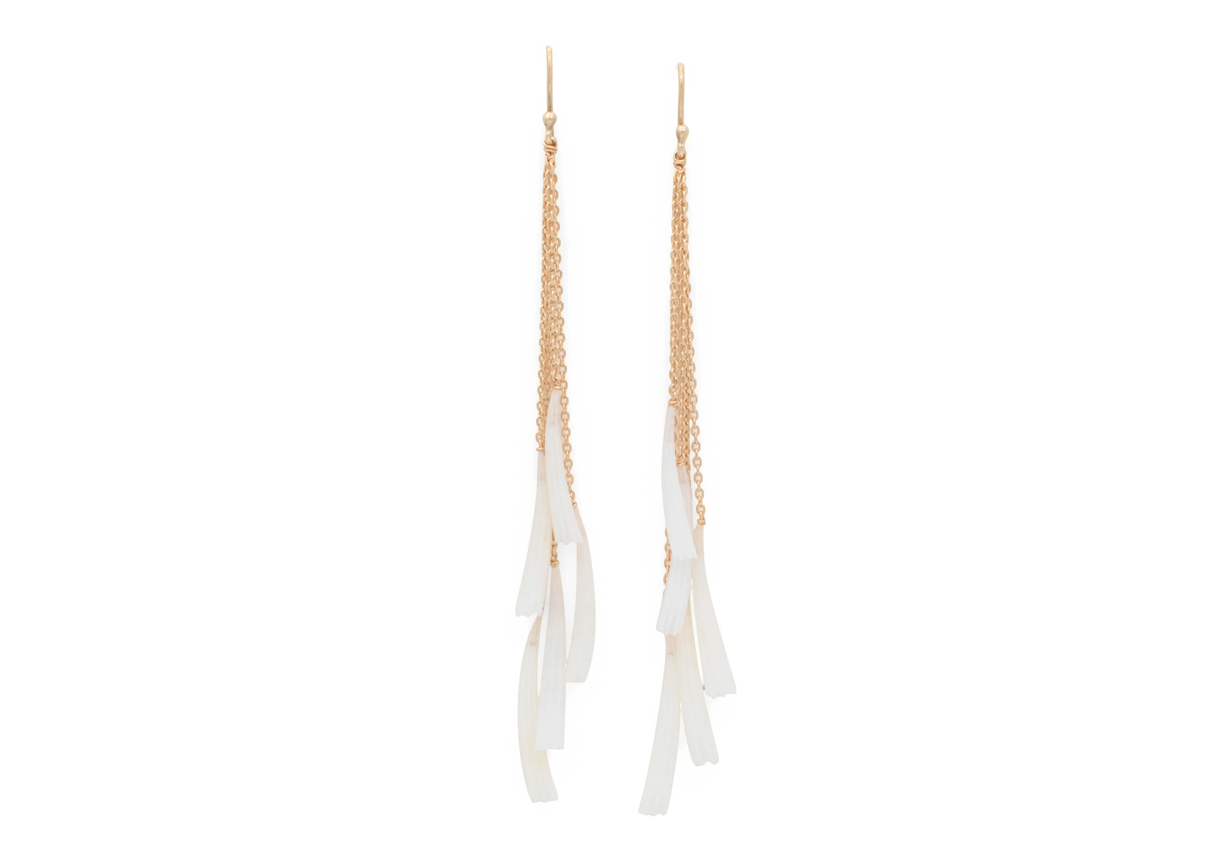 Tusk Shell Earrings