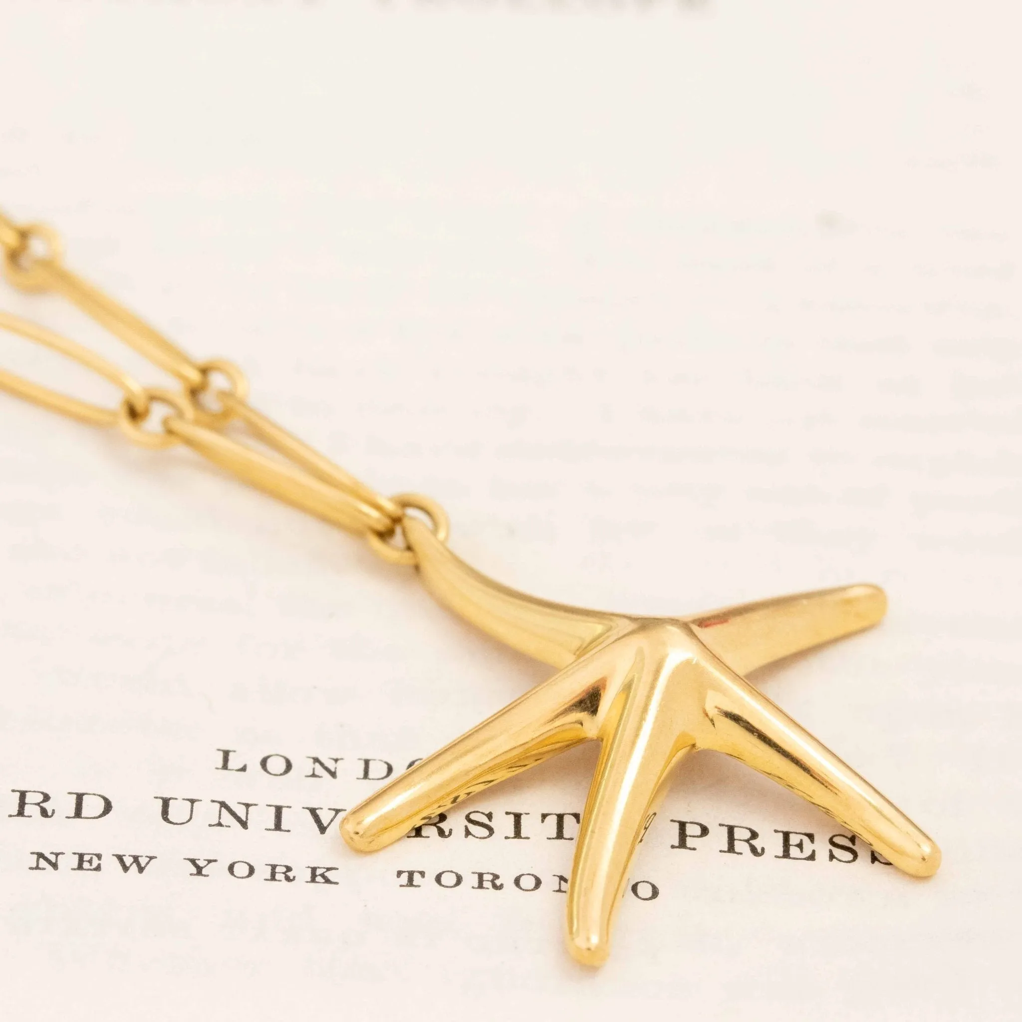 Vintage Starfish Pendant, by Paloma Picasso for Tiffany & Co.