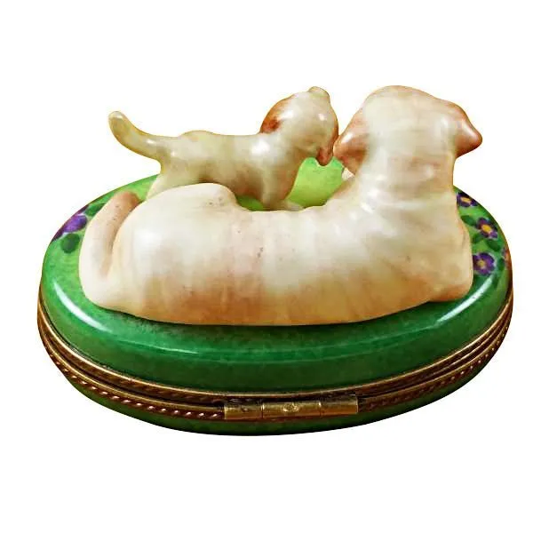 Yellow Labrador & Puppy