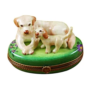 Yellow Labrador & Puppy