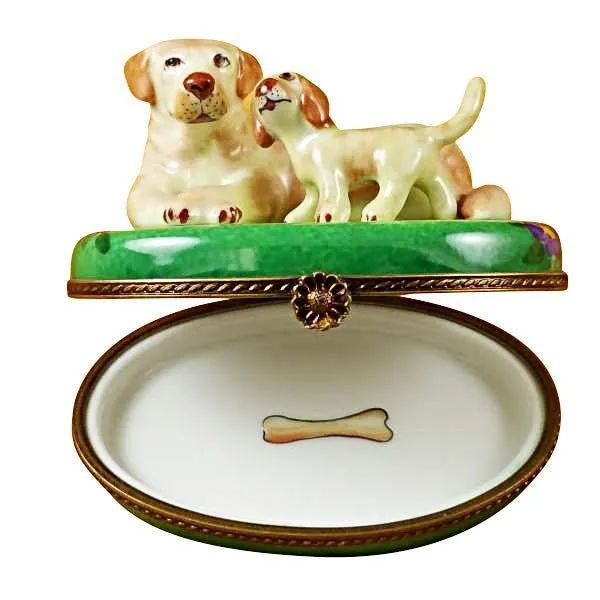Yellow Labrador & Puppy