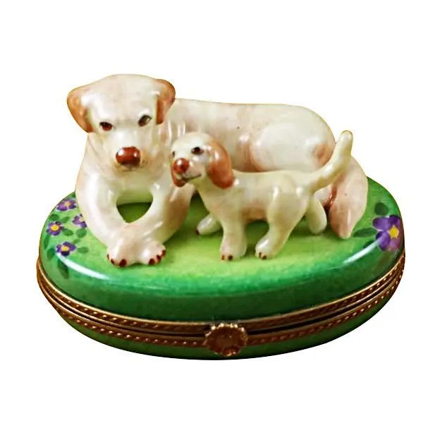 Yellow Labrador & Puppy